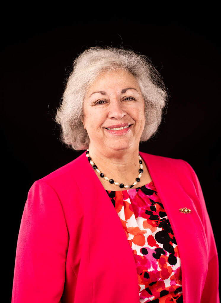 Minerva Holk